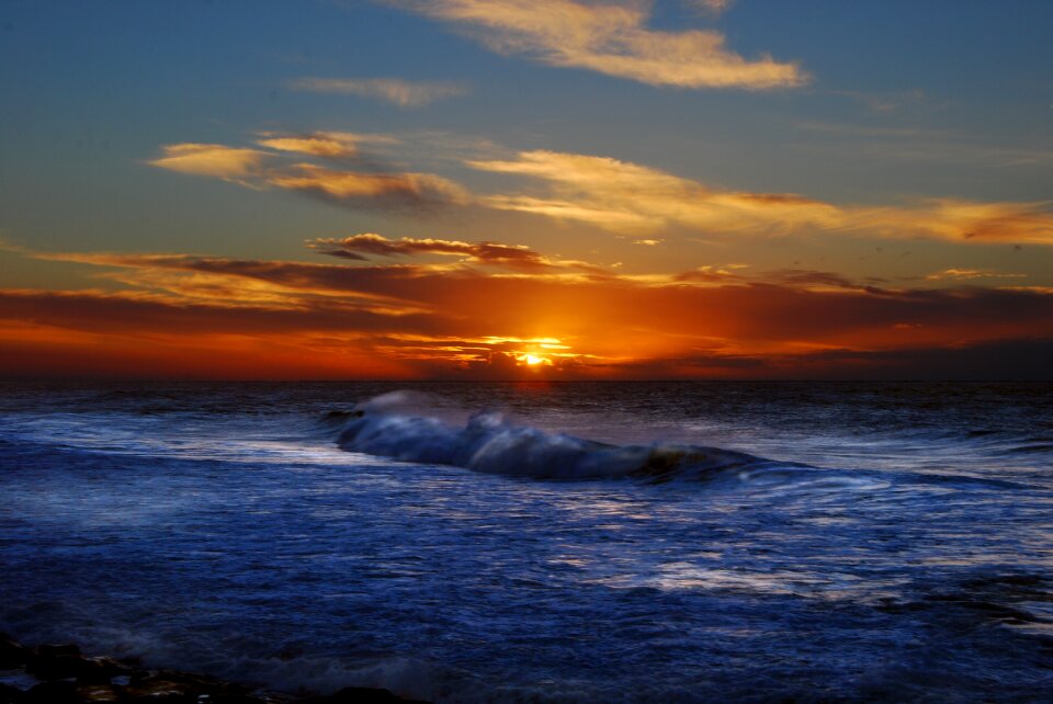 Beach dolphin coast south africa