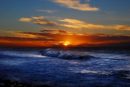 Beach dolphin coast south africa photo