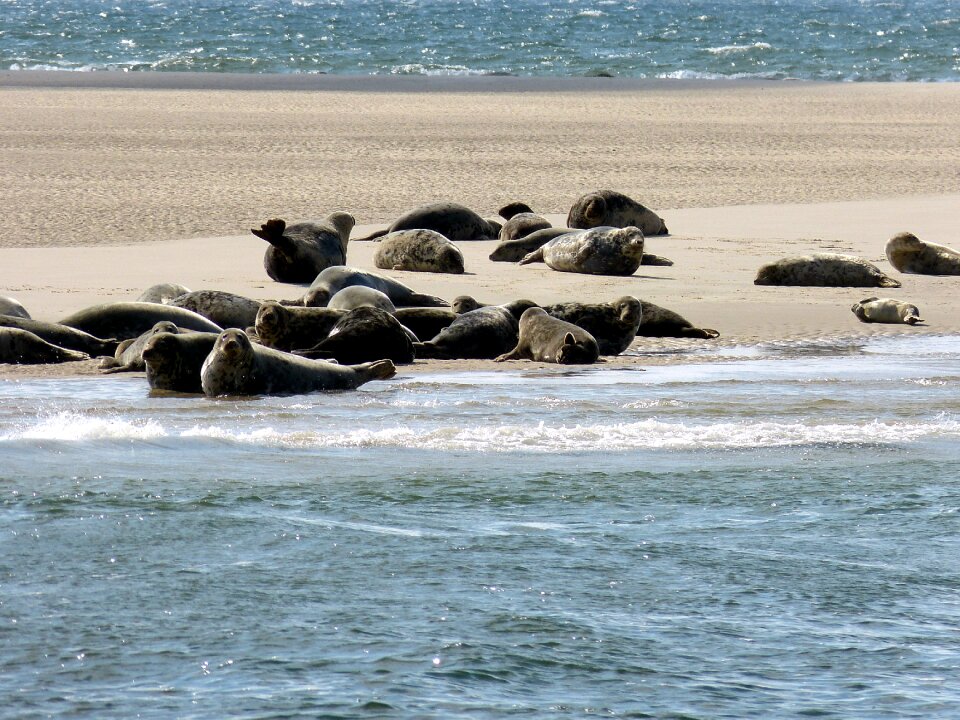 Nordfriesland nature vacations