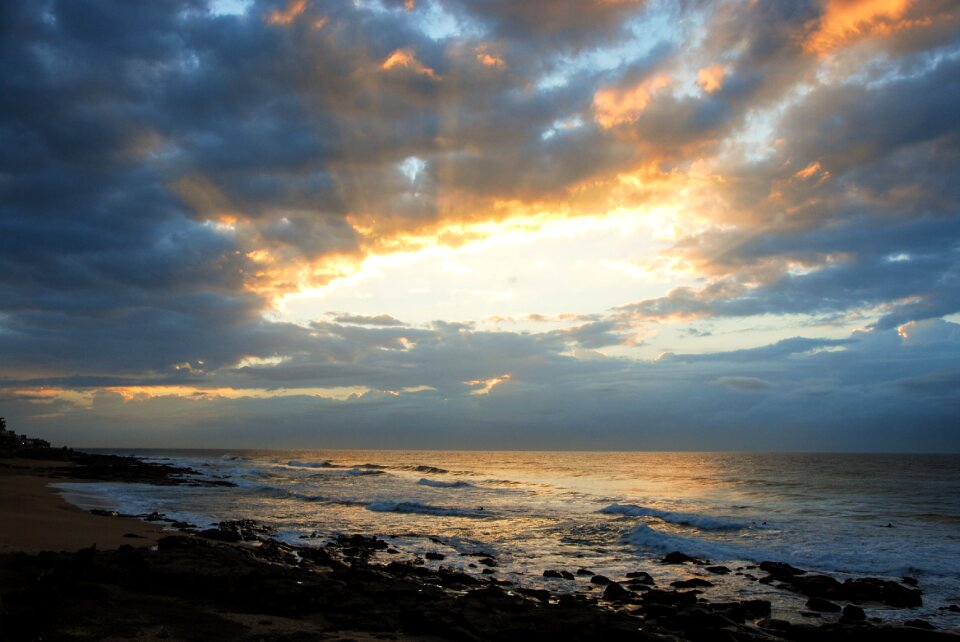 Beach dolphin coast south africa