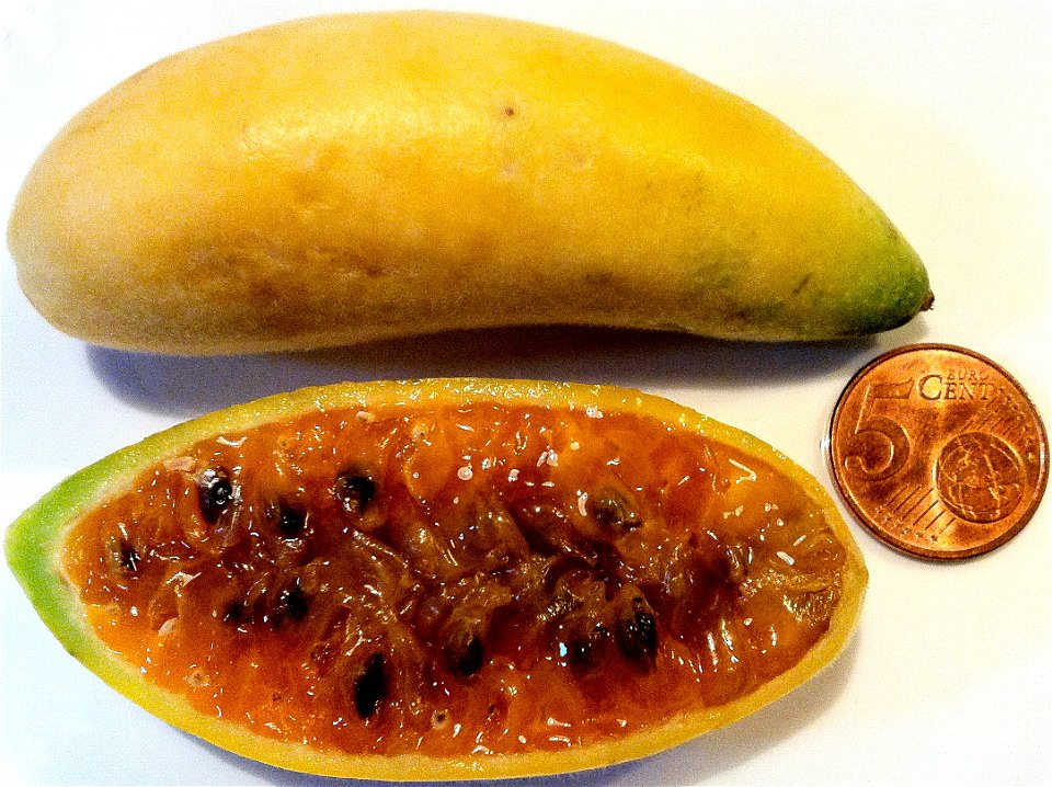 Bananenmaracuja aus Madeira
