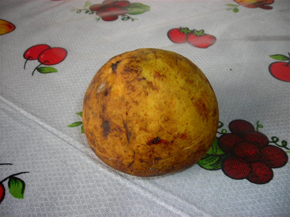 Bacuri, Platonia insignis