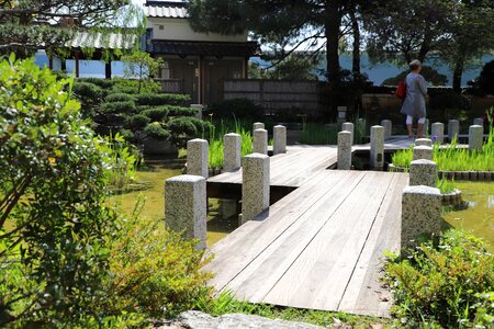 Outdoor summer park