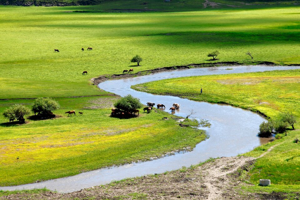 Horqin prairie river