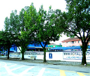 guanandis em santos