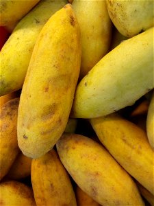 Curuba producida en Venezuela.