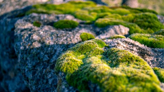 Stone nature texture
