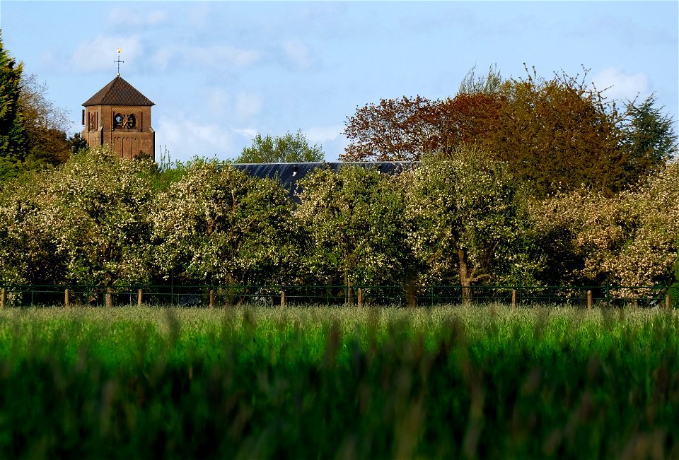 View of Bemmel (also known as 'Bemmely Hills'). Like many others towns in the Betuwe, the blossoms of the fruit orchards are a striking landscape feature of the region during springtime.