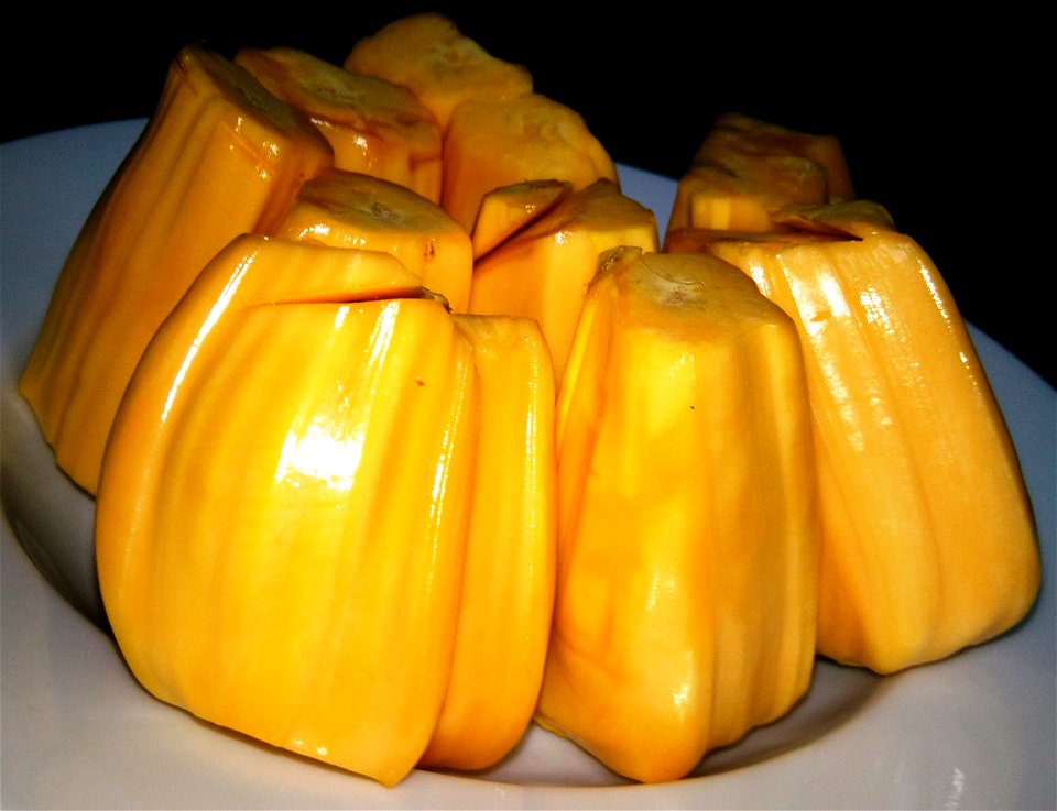 Mít Việt Nam năm 2016