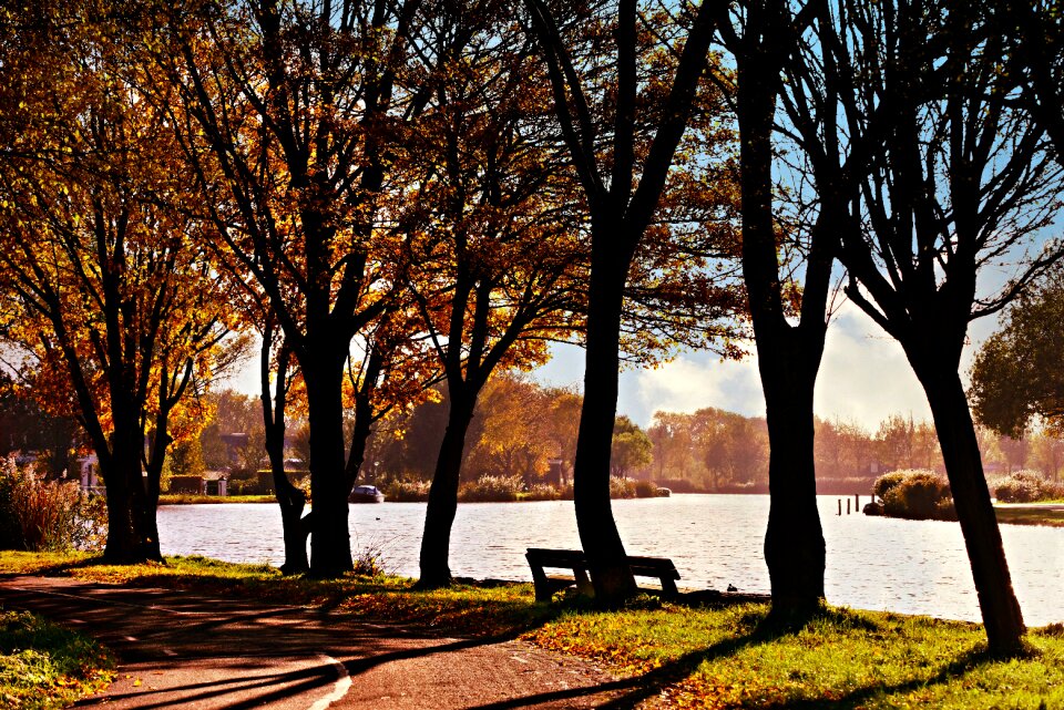 Bench resting place peaceful