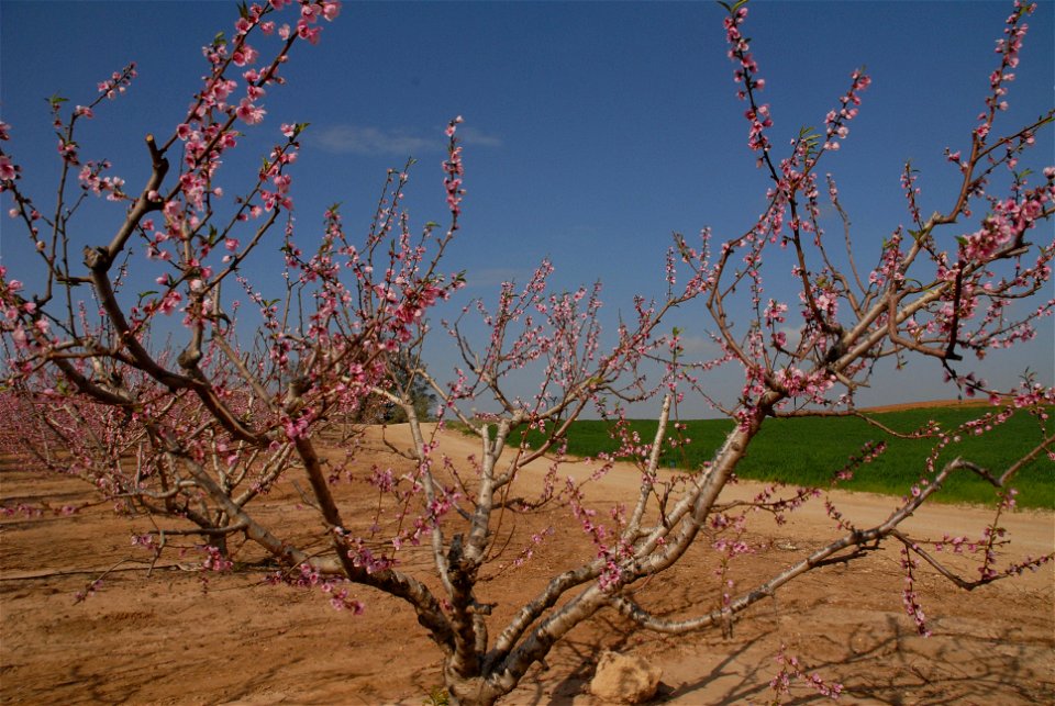 Geography of Israel