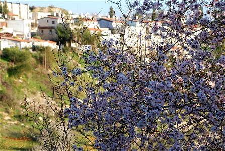 Geography of Israel photo