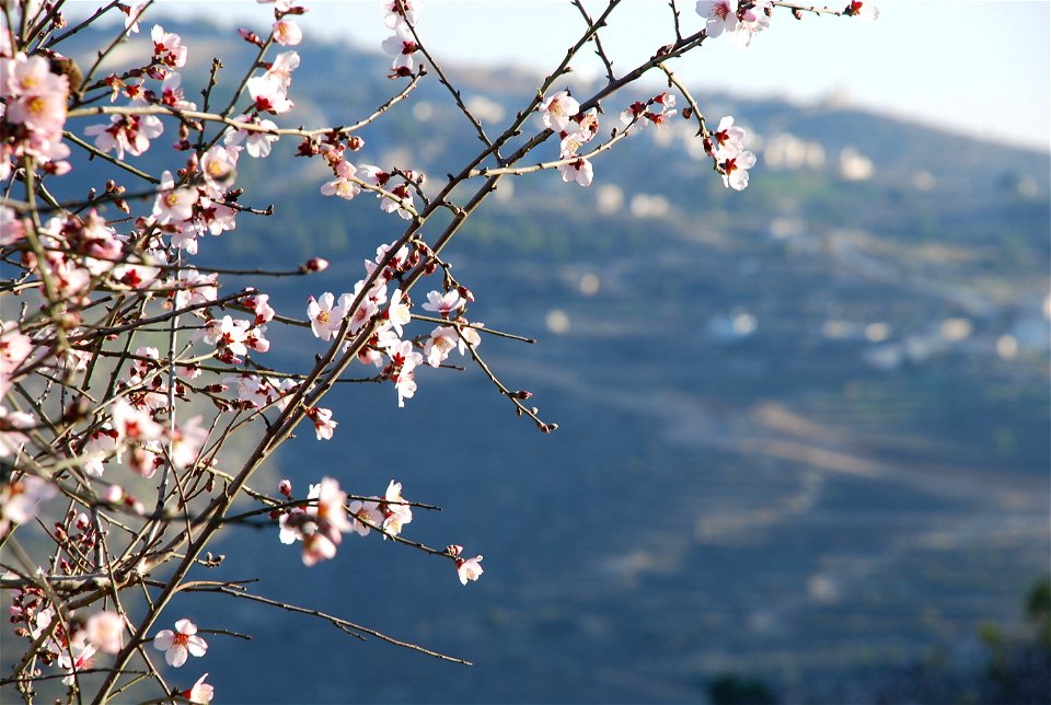 Geography of  Israel