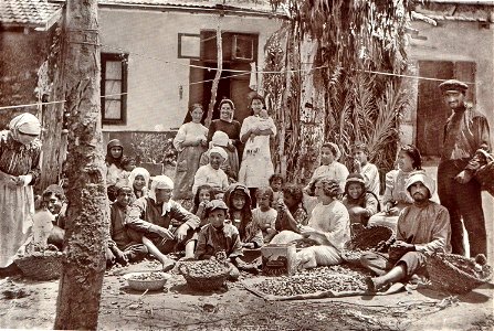 Selling almonds at Rishon Letzion, 1912 photo