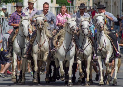 Riders gardians horseback riding