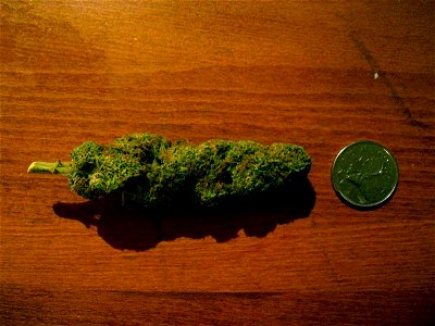 Exemple de "tête" de cannabis.