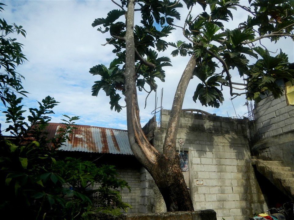 Balagtas station  Construction of Balagtas station (Burol 1 section) 2021Barangays Burol Balagtas, Bulacan