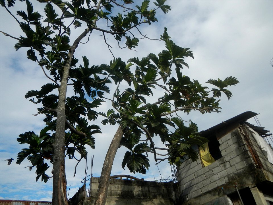 Balagtas station  Construction of Balagtas station (Burol 1 section) 2021Barangays Burol Balagtas, Bulacan