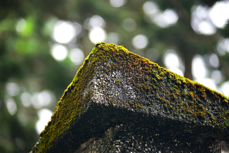 Stone brick mountain
