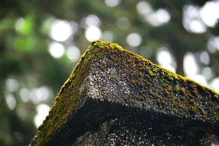 Stone brick mountain