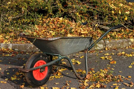 Collect recharge gardening