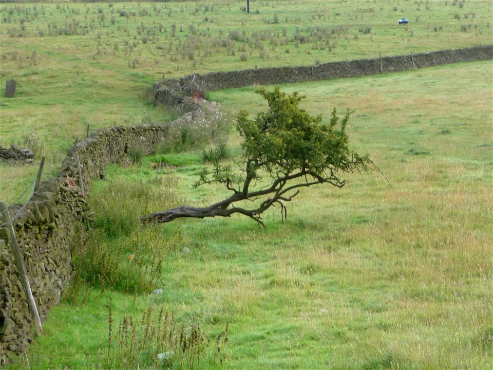 Carleton in Craven (North Yorkshire), United Kingdom