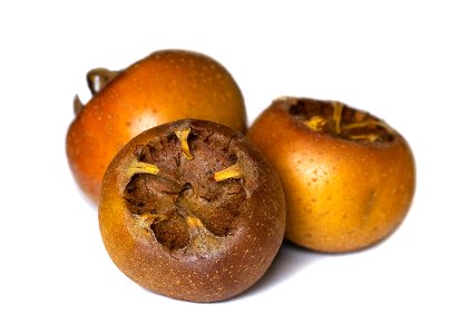 Medlar