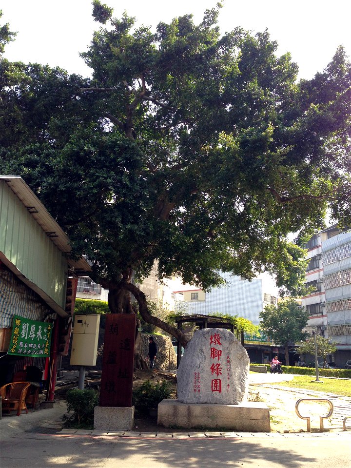 Banyan tree, in Taichung, Taiwan; roughly 13.2m. in height.