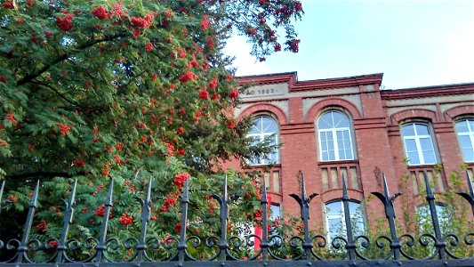 Jarosław Dąbrowski 1st Lyceum in Tomaszów Mazowiecki, Poland photo