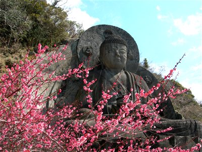 Daibutsu of when the flowers are blooming plum, Nihon-ji in Kyonan, Chiba prefecture, Japan
