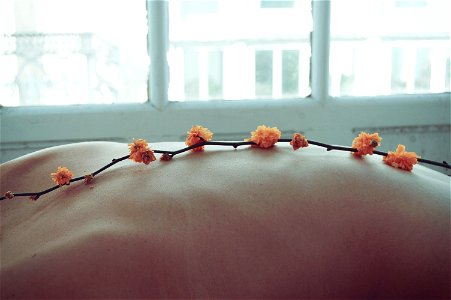 A flowering branch on the back of a person