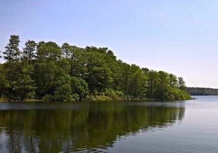 Northern germany forest water