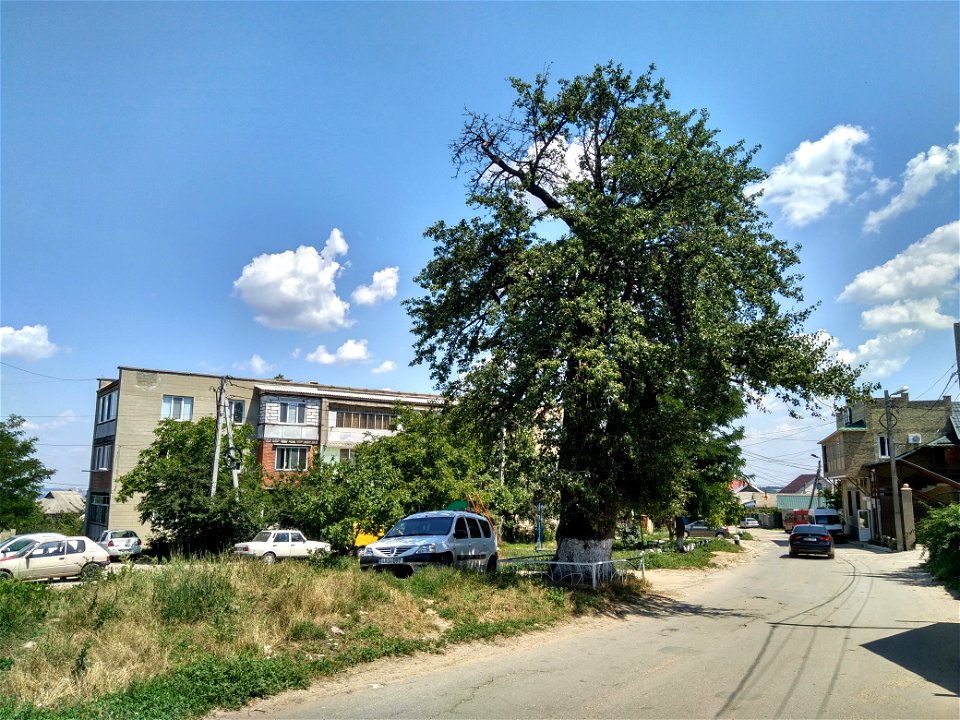 Păr pădureț, monument al naturii amplasat în mun. Chișinău, orașul Durlești, str. N. Testemițanu 53, la periferia de nord-vest (cod MD-C-mn.Cb-149)





This is a photo of a natural heritage site 