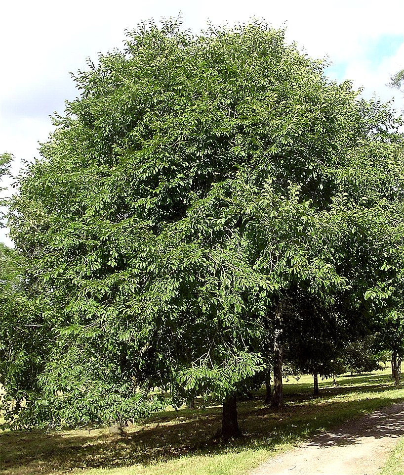 Photo taken by author, July 2006