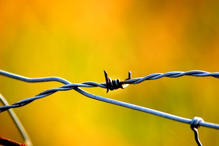 Macro close up barbed wire