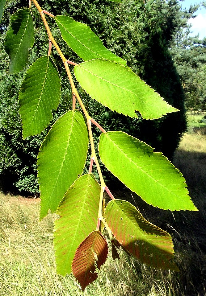 Photo taken by author, July 2006