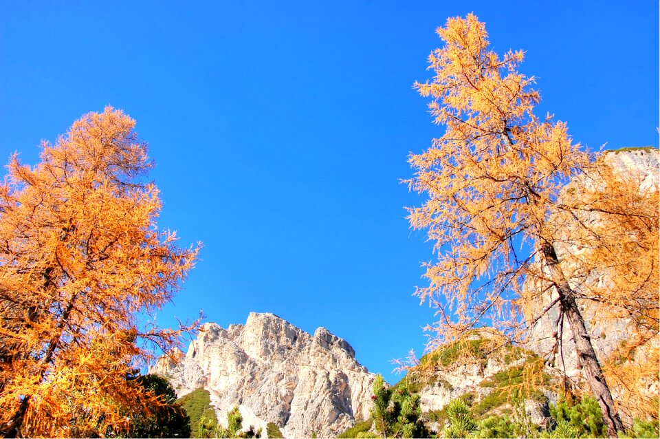 Nature italy mountains photo