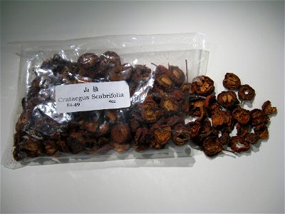 Dried Crataegus scabrifolia fruits