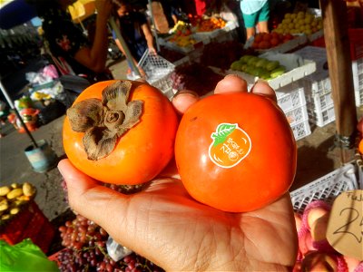 Cuisine food of the Philippines