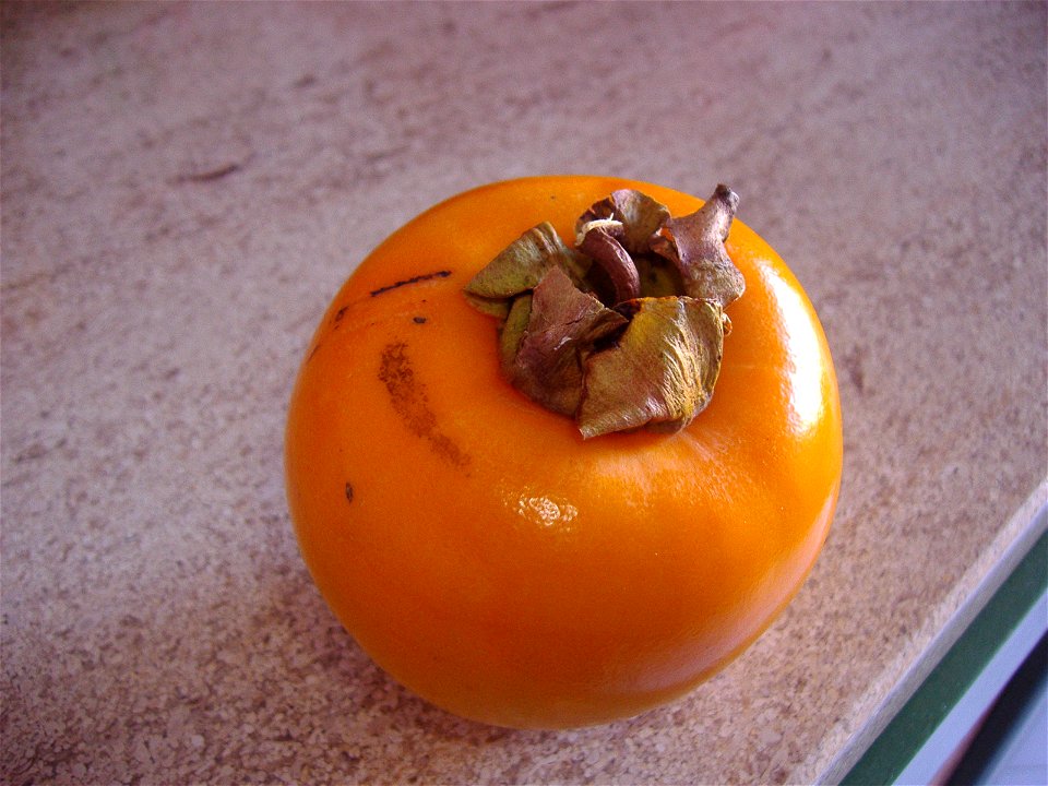 A Digital Photograph of a Persimmon fruit 26th November 2007 by Haydnaston