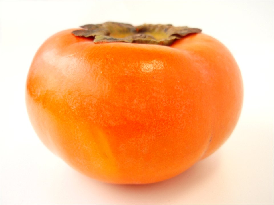 Diospyros kaki 'Jiro' (Persimmon)