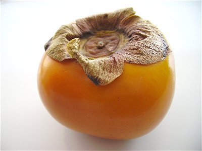 A kaki persimmon or kaki fruit (Diospyros kaki) photo
