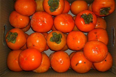 Kaki fruits (ko:감나무) are packed for shipping near 익산 Iksan