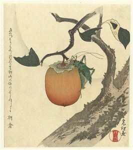 IdentificatieTitel(s): Kakivrucht met sprinkhaanObjecttype: prent surimono Objectnummer: RP-P-1958-311Catalogusreferentie: Jap Cat III 84Opschriften / Merken: verzamelaarsmerk, verso, gestempeld: Lugt