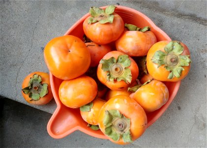 Persimmons (dangam-type) photo