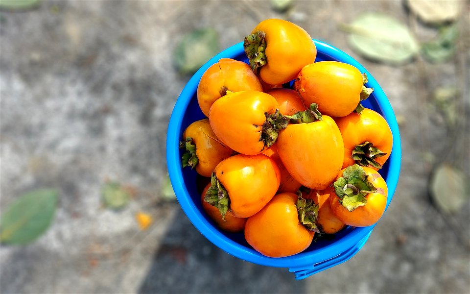 Persimmons (daebong-type)