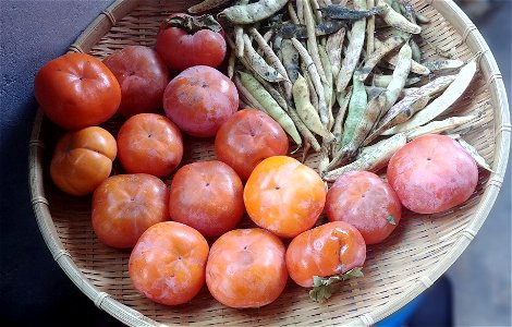 Persimmons (dangam-type) and soybeans photo