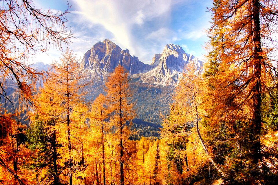 Larch autumn rock