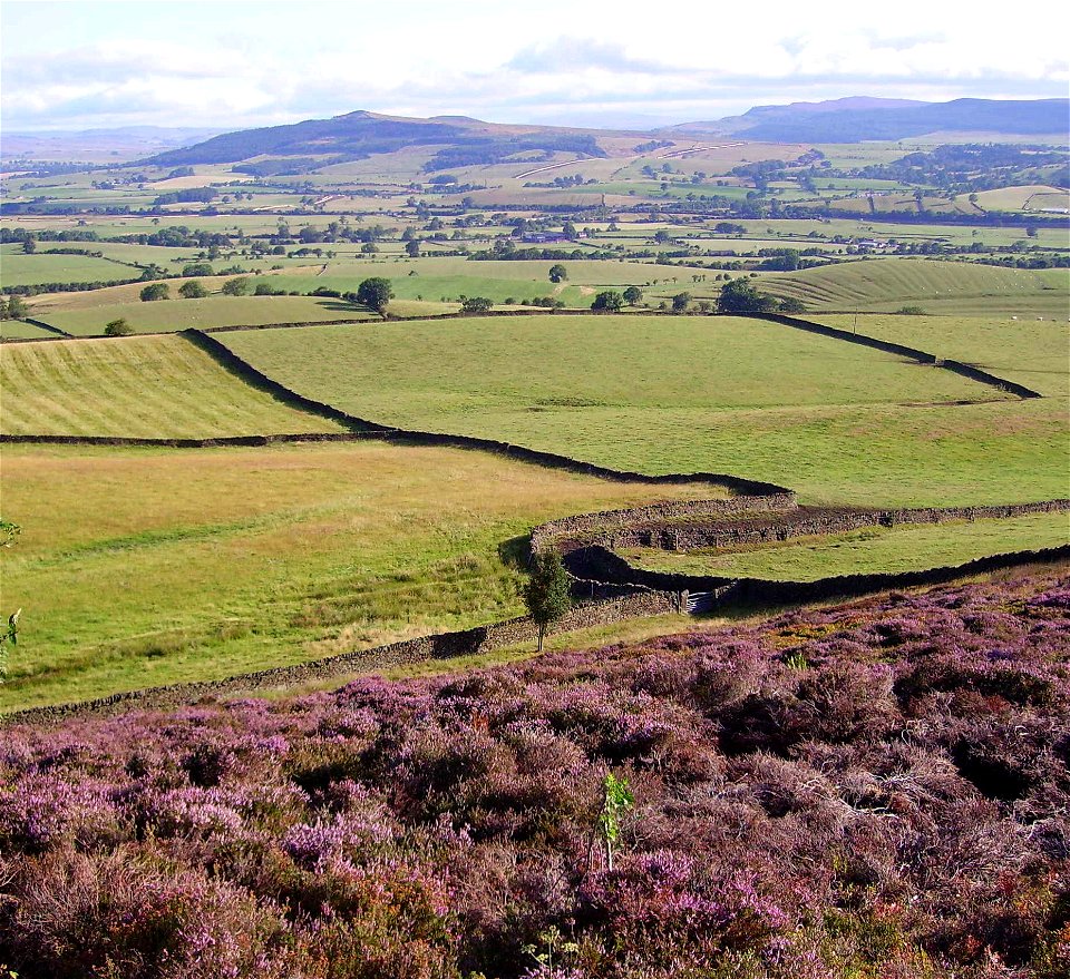 Dry stone wall in North Yorkshire, United Kingdom