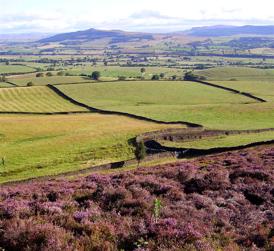 Dry stone wall in North Yorkshire, United Kingdom photo